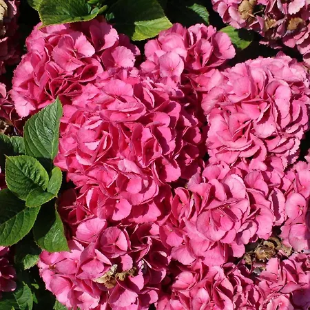 1844 Seascape Is Located On The Wild Atlantic Way *