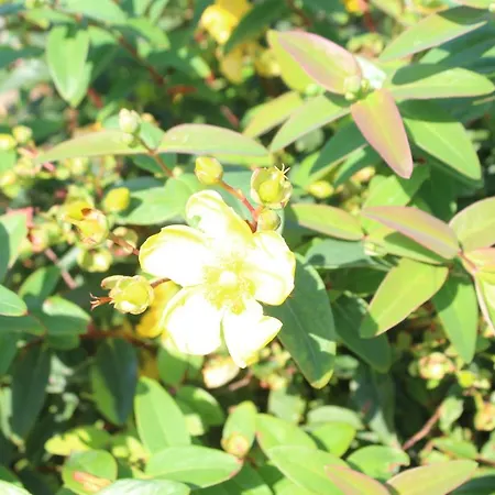 1844 Seascape Is Located On The Wild Atlantic Way * Fanore