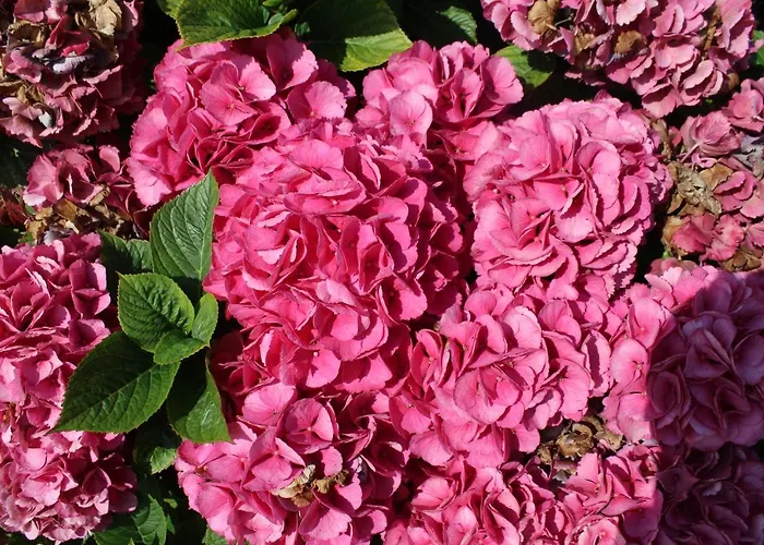 1844 Seascape Is Located On The Wild Atlantic Way *