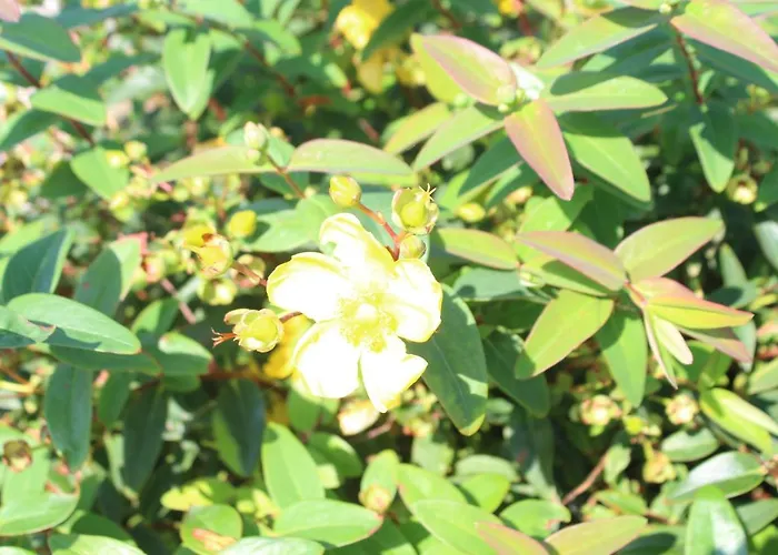 1844 Seascape Is Located On The Wild Atlantic Way * Fanore